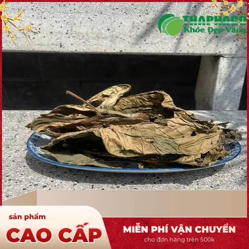 Lá khôi tía nguyên chất, tươi xanh, đã được sơ chế sạch sẽ