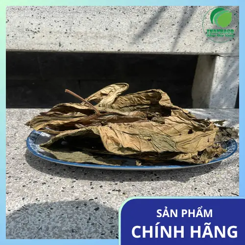 Quy trình phơi sấy lá khôi tía tại THAPHACO