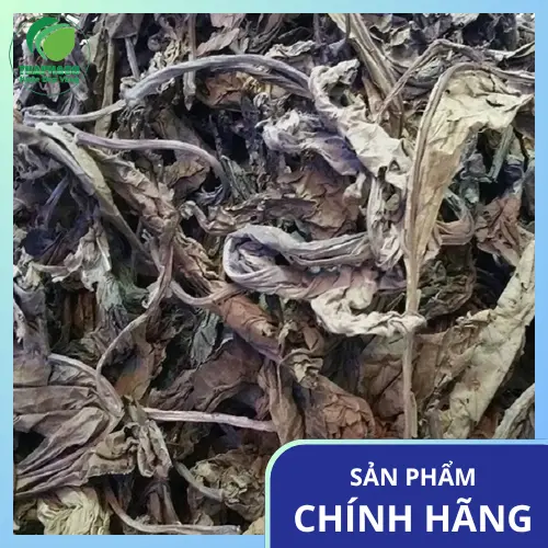 Quy trình kiểm định chất lượng lá khôi tía tại THAPHACO