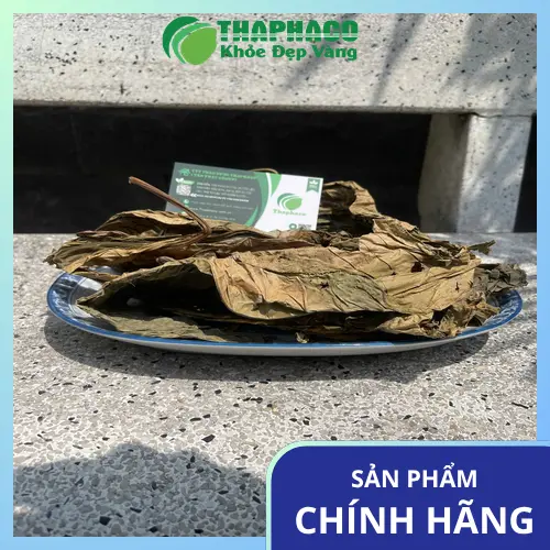 Lá khôi tía sấy khô được chọn lọc kỹ càng, đảm bảo chất lượng