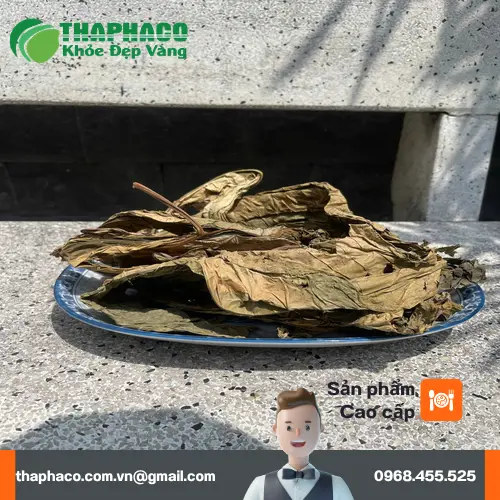 Lá khôi tía được sấy khô tự nhiên, đảm bảo giữ nguyên dược tính