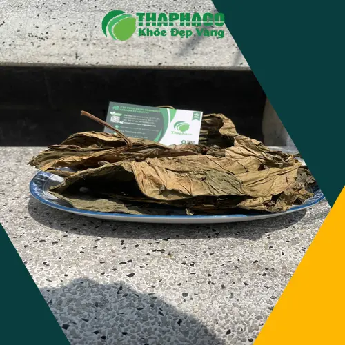 Lá khôi tía THAPHACO được kiểm định chất lượng nghiêm ngặt, đảm bảo sạch và an toàn