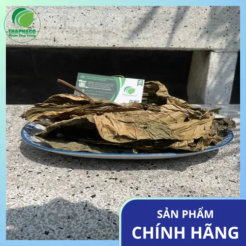 Sản phẩm lá khôi tía sấy khô chất lượng cao từ Thảo Dược Tươi THAPHACO
