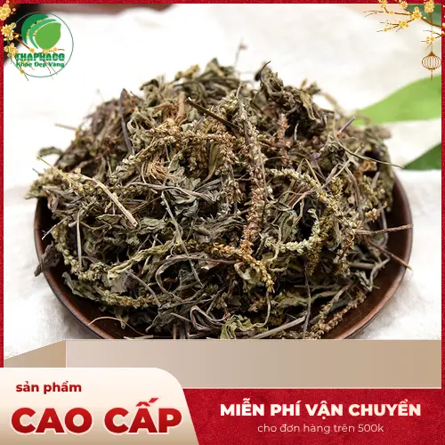 Mã đề khô THAPHACO chất lượng cao