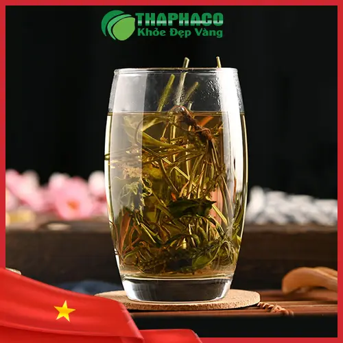 Quy trình sản xuất mã đề sấy khô sạch tại THAPHACO