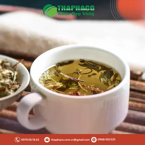 Chính sách giá sỉ cây mã đề khô ưu đãi tại THAPHACO