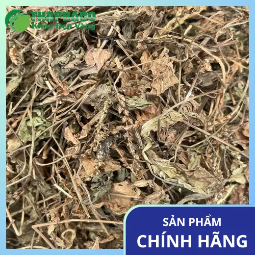 Công dụng của mã đề sấy khô đối với sức khỏe