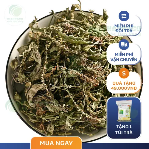 Cách nhận biết mã đề sấy khô chất lượng cao