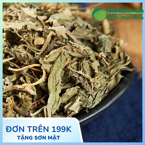 Mã đề khô THAPHACO đảm bảo chất lượng, không tạp chất