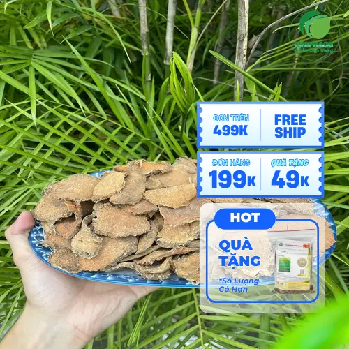 Móp gai sấy khô chất lượng cao