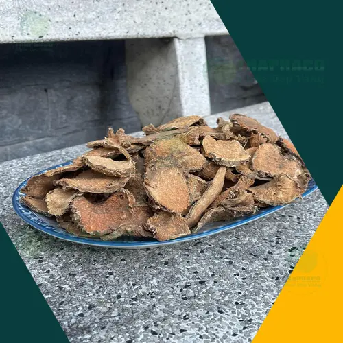 Thảo dược móp gai khô THAPHACO hỗ trợ sức khỏe