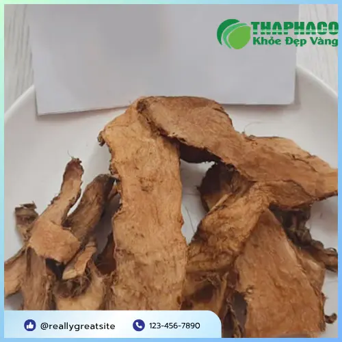 Cách sử dụng Móp gai hiệu quả cho các bài thuốc dân gian