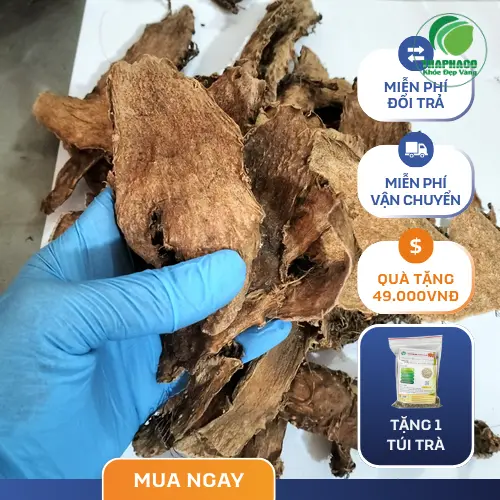 Đội ngũ Dược sĩ Thảo Dược Tươi THAPHACO tư vấn chuyên nghiệp