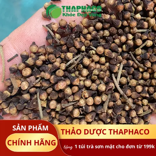 Hình ảnh nụ vối sấy khô nguyên chất, cận cảnh sản phẩm THAPHACO