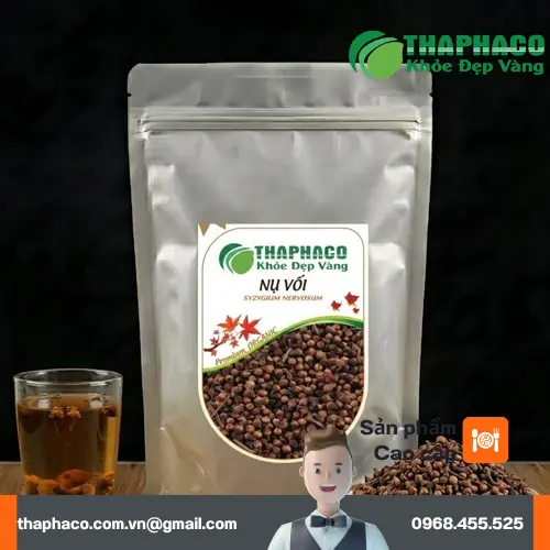 Quy trình kiểm định chất lượng nụ vối sấy khô tại THAPHACO