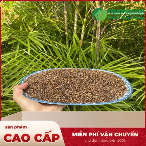 Nụ vối hỗ trợ tiêu hóa sau bữa ăn
