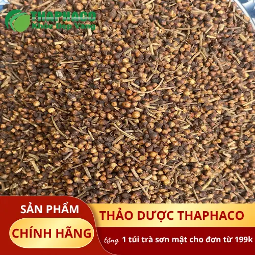Nụ vối sấy khô thành phẩm giữ trọn màu sắc và hương vị tự nhiên