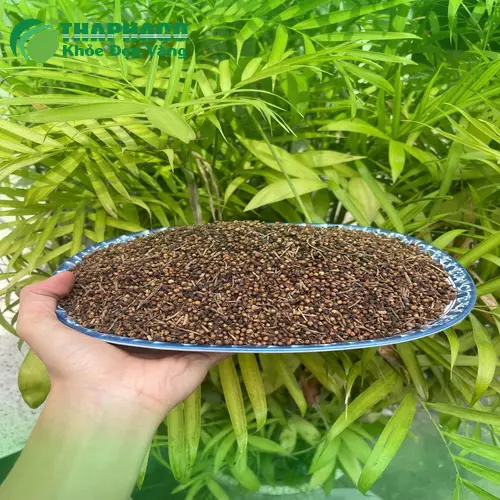 Nụ vối THAPHACO đảm bảo chất lượng cao cấp