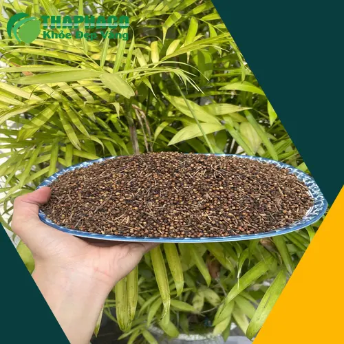 Chính sách giá sỉ ưu đãi và freeship của THAPHACO