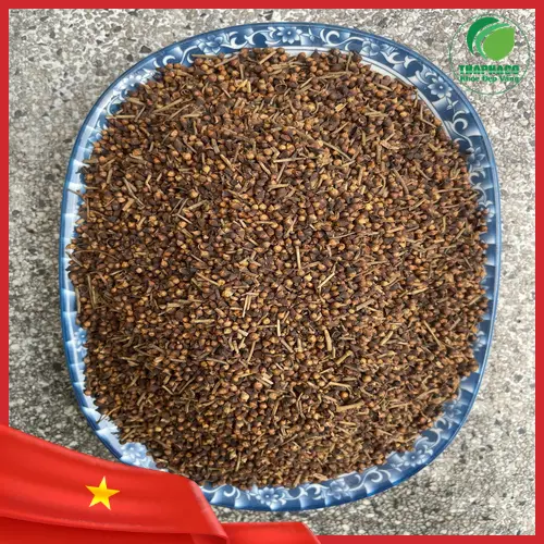 Bảo quản nụ vối sấy khô Thảo Dược Tươi THAPHACO đúng cách