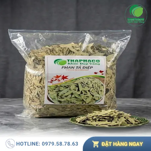 Phan Tả Diệp - Thảo dược chữa táo bón tự nhiên