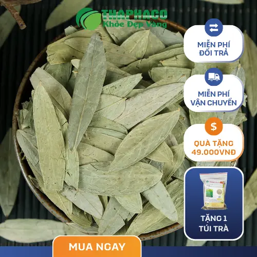 Pha trà Phan Tả Diệp đúng cách