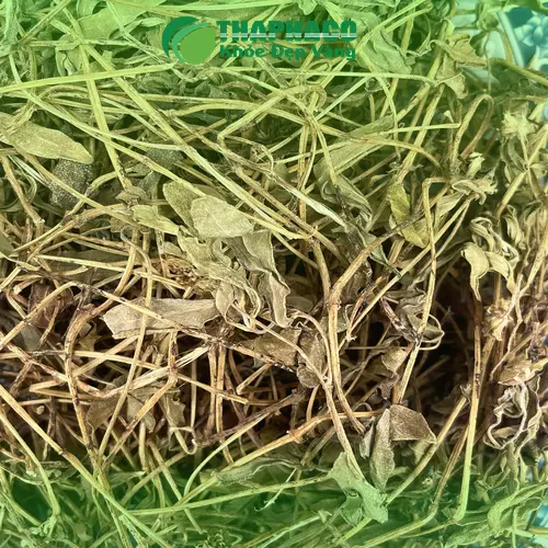 Giá sài đất sấy khô 1kg THAPHACO và ưu đãi hấp dẫn