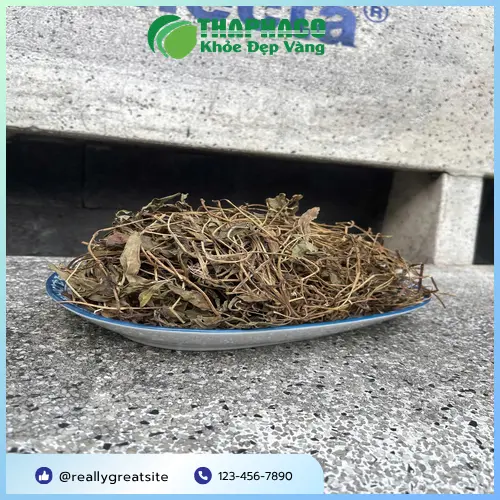 Sài đất sấy khô dùng để pha trà thảo mộc