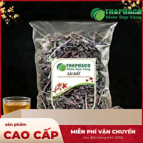 Sài đất và lá gan khỏe mạnh