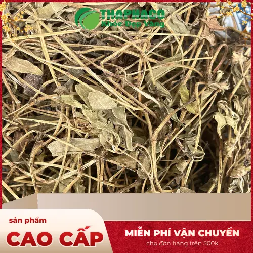 Sài Đất khô đã phơi và cắt lát sẵn sàng sử dụng