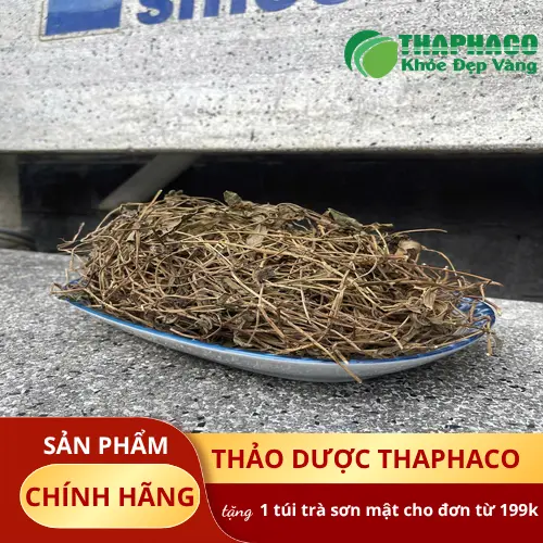 So sánh sài đất khô THAPHACO và các loại khác