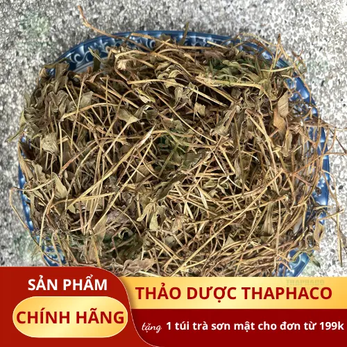 Quy trình sấy khô Sài Đất tại nhà máy Thảo Dược Tươi THAPHACO đảm bảo chất lượng