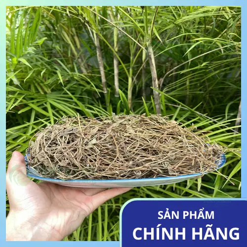 Sài đất sấy khô cần được bảo quản đúng cách