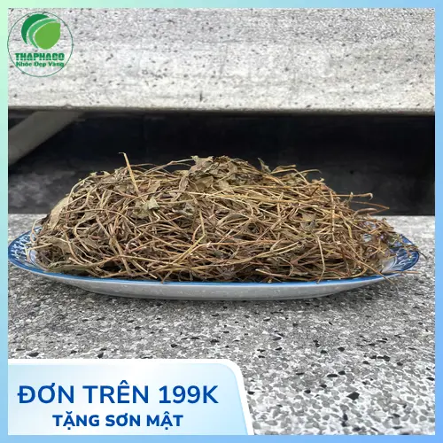 Công dụng hạ sốt, tiêu viêm của sài đất