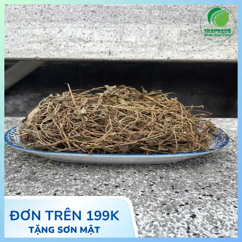 Sài đất sấy khô chất lượng từ Thảo Dược Tươi THAPHACO