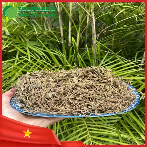 Sài đất sấy khô THAPHACO chất lượng