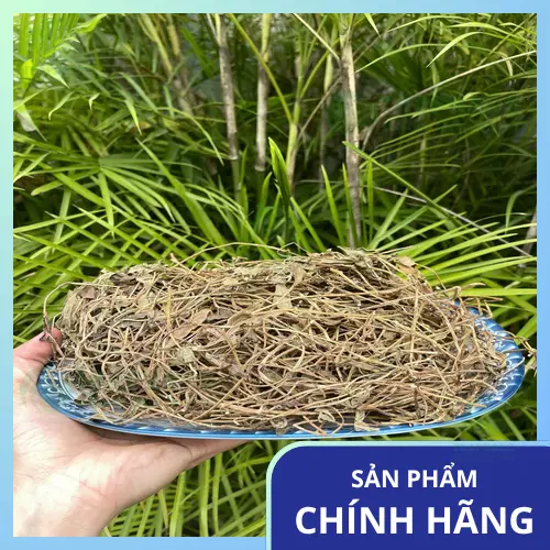 Thương hiệu THAPHACO - Chuyên cung cấp thảo dược sạch, chất lượng
