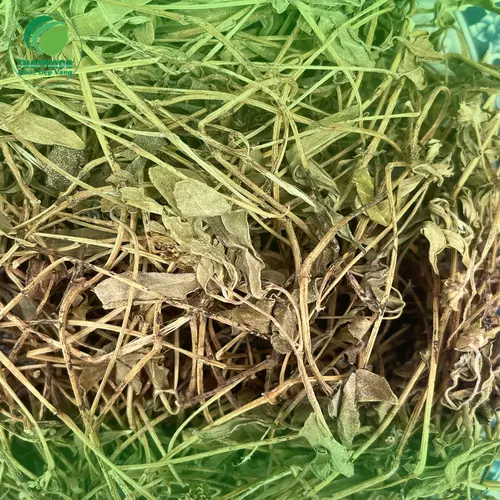 Đóng gói và bảo quản sài đất khô chuyên nghiệp tại THAPHACO