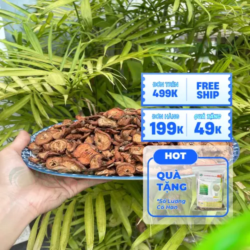 Táo mèo sấy khô chất lượng cao được tuyển chọn kỹ lưỡng