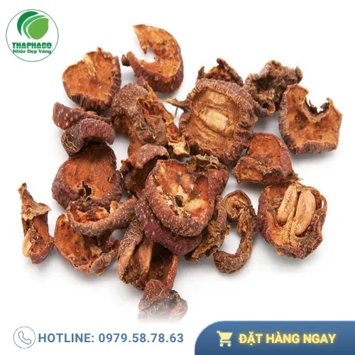 Hình ảnh táo mèo tươi, minh họa cho nguồn gốc tự nhiên của vị thuốc