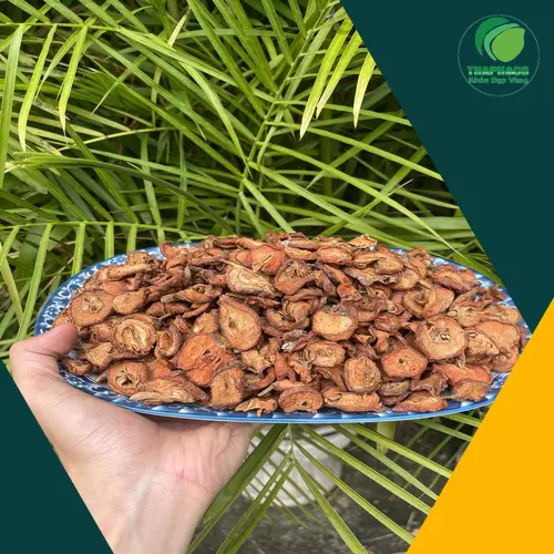 Hình ảnh táo mèo phơi khô và những trái tươi, tượng trưng cho quá trình chế biến và sử dụng