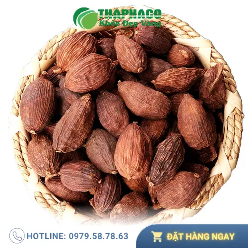 Lợi ích sức khỏe và ẩm thực từ thảo quả sấy khô THAPHACO