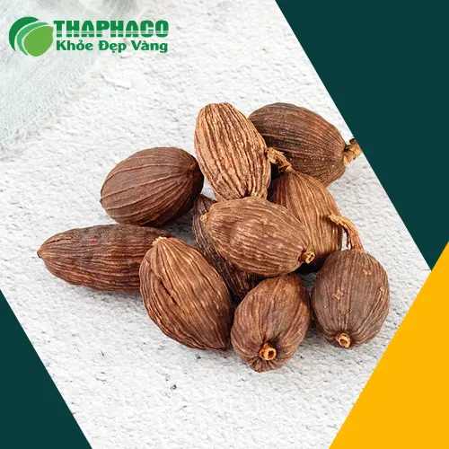 Cách dùng thảo quả sấy khô trong ẩm thực và dược liệu