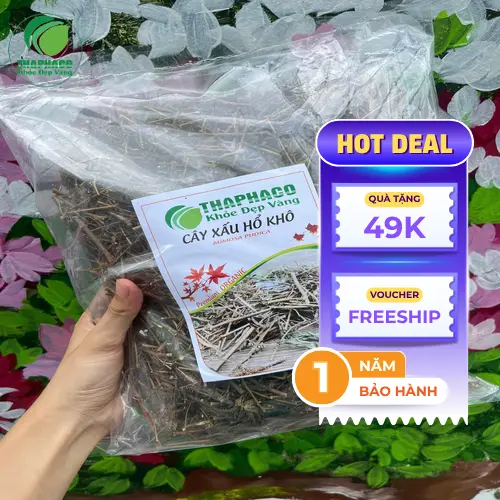 Cây Xấu Hổ - Thảo Dược Tươi THAPHACO