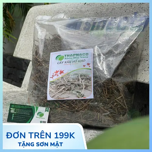 Nguyên liệu cây xấu hổ tươi, sạch để pha trà hỗ trợ giấc ngủ