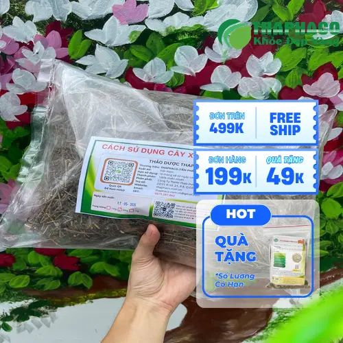 Lá Cây Xấu Hổ Tươi - Kiểm Định Chất Lượng