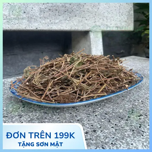 Cây xấu hổ sấy khô được đóng gói cẩn thận tại Thảo Dược Tươi THAPHACO