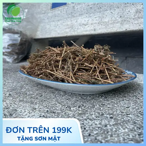 Công dụng của cây xấu hổ khô THAPHACO