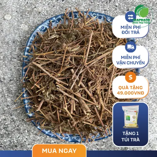 Cách bảo quản cây xấu hổ khô đúng cách để giữ dược tính