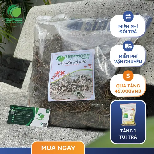 Cây xấu hổ khô đã được sơ chế và đóng gói cẩn thận
